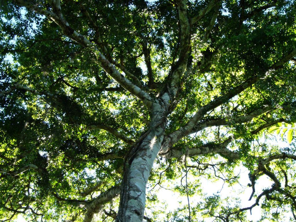 Pousada Sítio do Alemão Ubajara Exterior foto